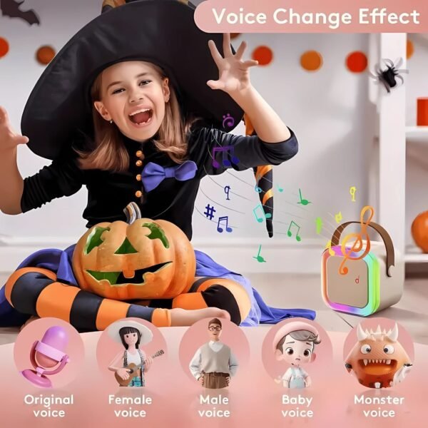 K12 - Karaoke Sound System - Image 4