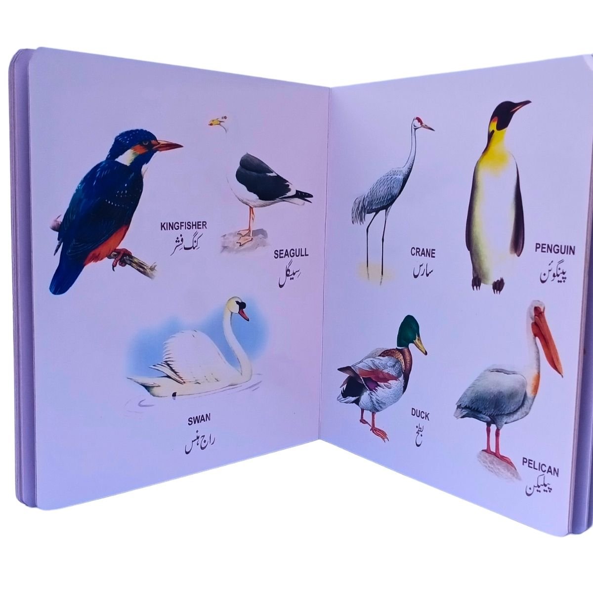 Caravan Fun to Learn – My First Book of Birds and Animals | Early Learning Picture Book for Kids - Image 2